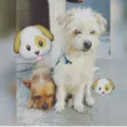 Kadu e Rady