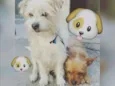 Kadu e Rady