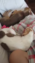 Thor e Marie 