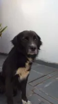 Não sei