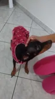 Não sei