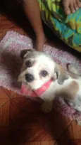 Zeus