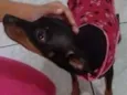 Não sei