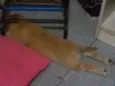 Billy