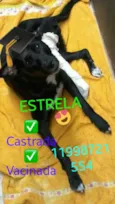 Estrela