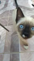 Gabriel