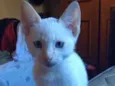 Miguel