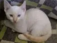 Miguel