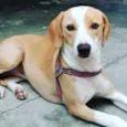 Lilly e Jack