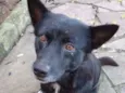 BABALOO