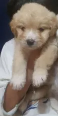Mattew