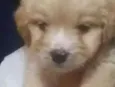 Mattew