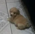 Mattew