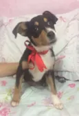 Diego