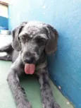 FLOP