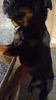 Aquirys