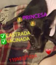 Princesa