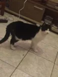 Sam