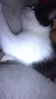 Sam