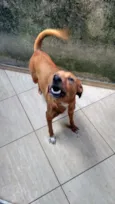 Molly