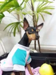 Lola