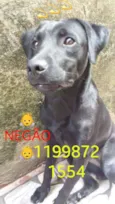 Negão