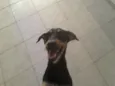 Nina