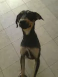 Nina