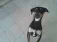 Nina