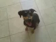 Nina