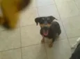 Nina