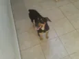 Nina