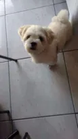 Toby