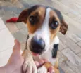 Duda