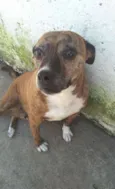 Luma