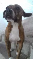 Luma
