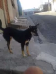 Neguinha