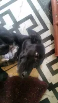 Tina