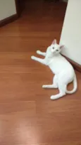 Tom