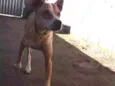 Cronos