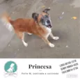 Princesa