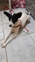 Princesa