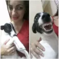 Princesa