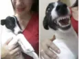 Princesa