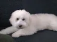 Ted
