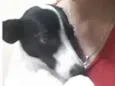 Princesa