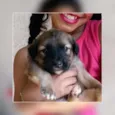 Bebê