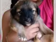 Bebê
