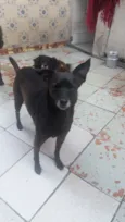 Penélope 