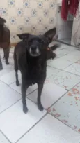 Penélope 